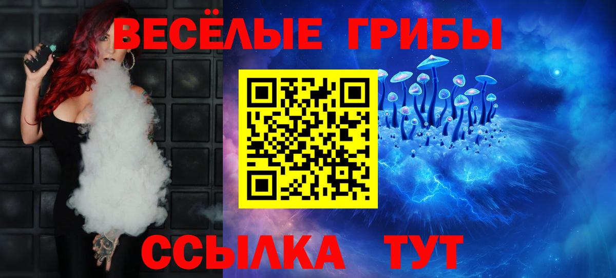Псилоцибиновые грибы Psilocybe Кубинка